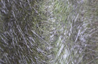 Gilbert Street fibreglass roof work